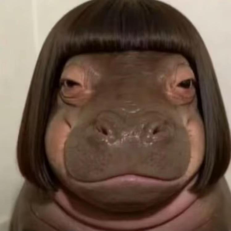 小混蛋