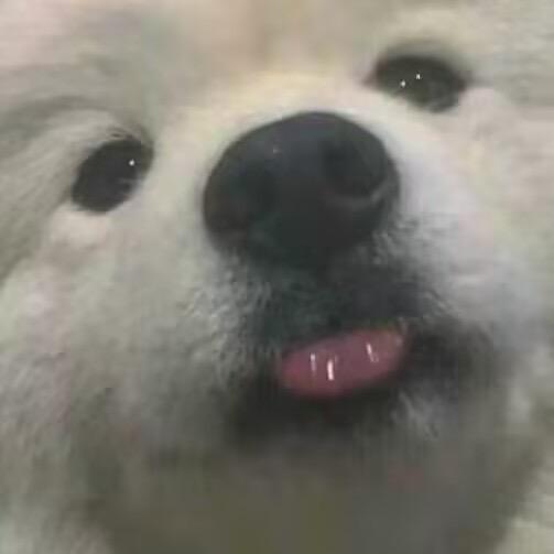 什么南南？