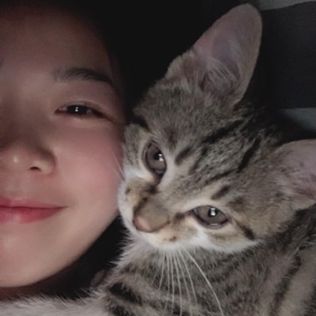 咕噜咕噜胡（猪版）（气鼓鼓）