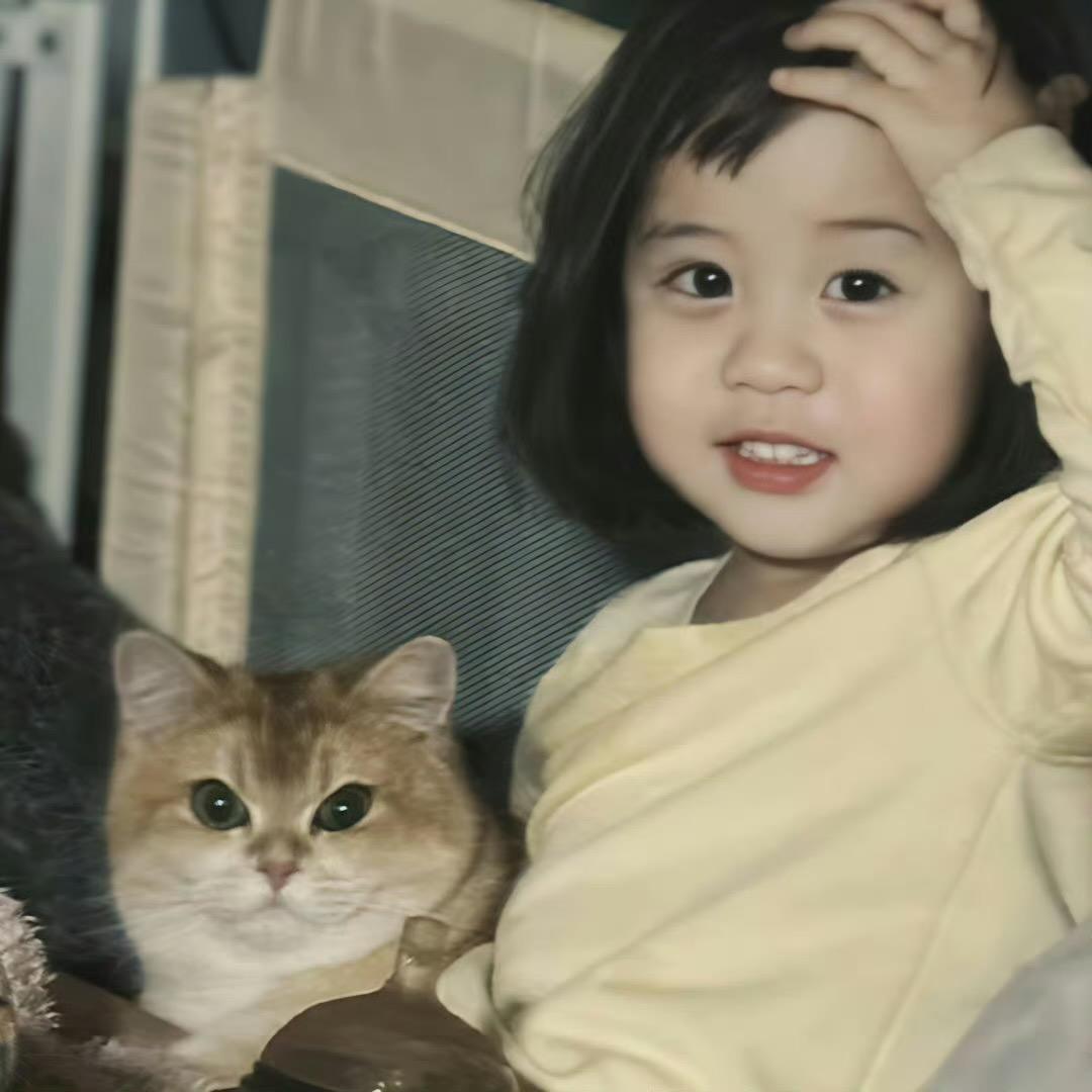 章鱼小丸子