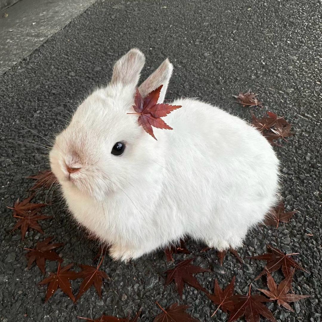 舒服佳🧼