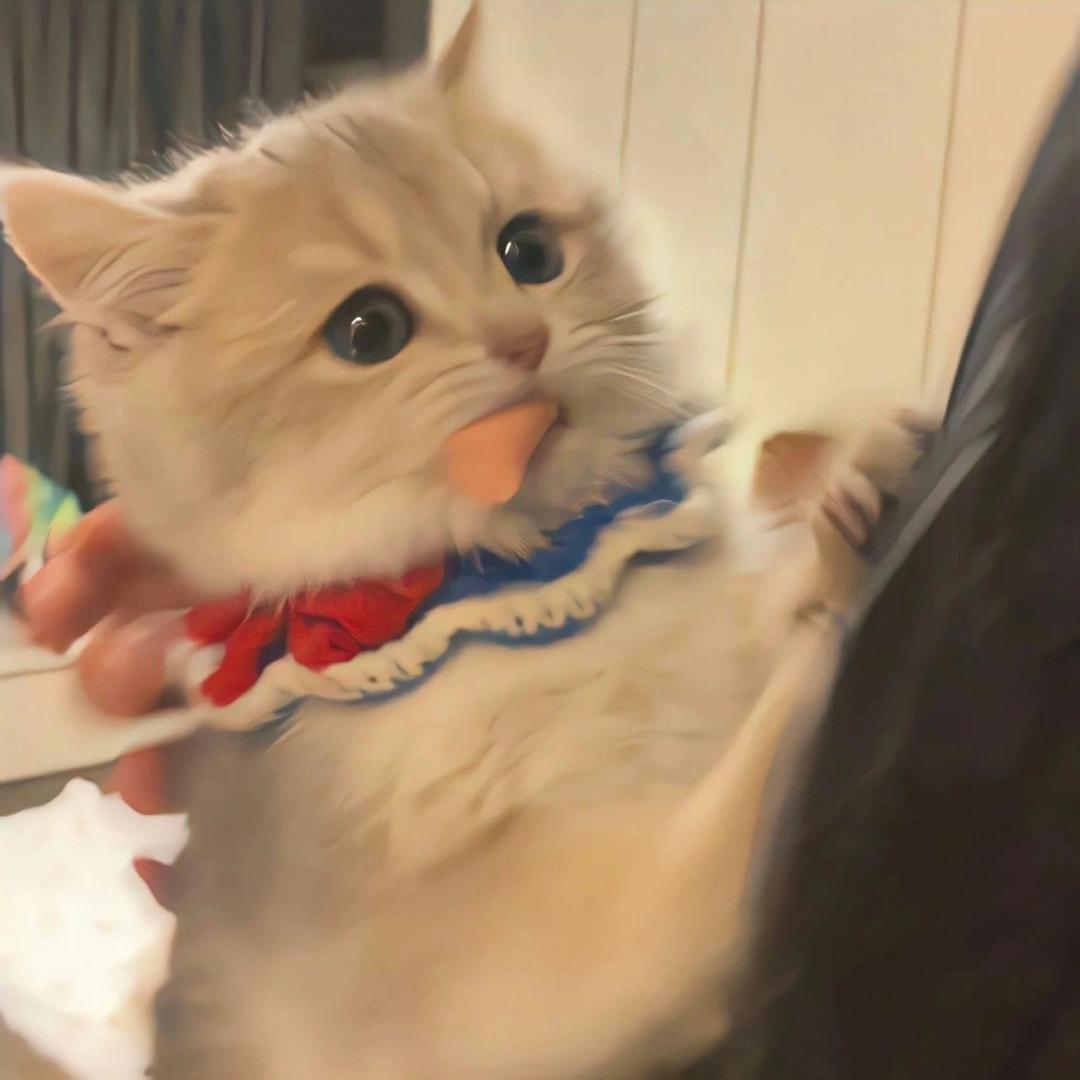 小齐喜欢冰淇淋华夫饼