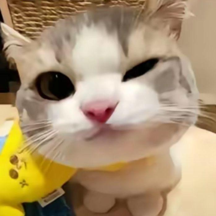糖心蛋🍳