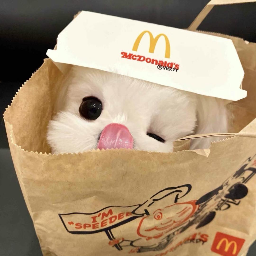 小财主