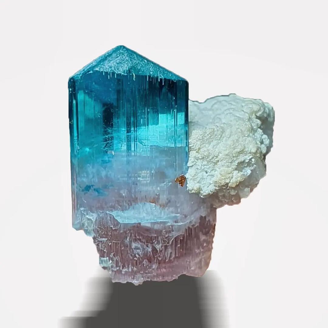 晶中晶珠宝商行