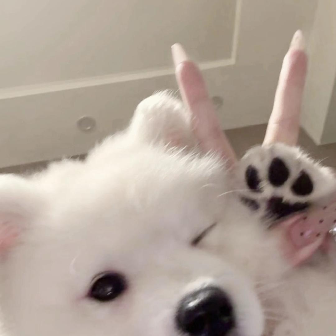 Cc