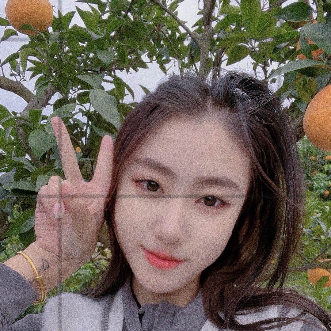 🍊李老版逛果园