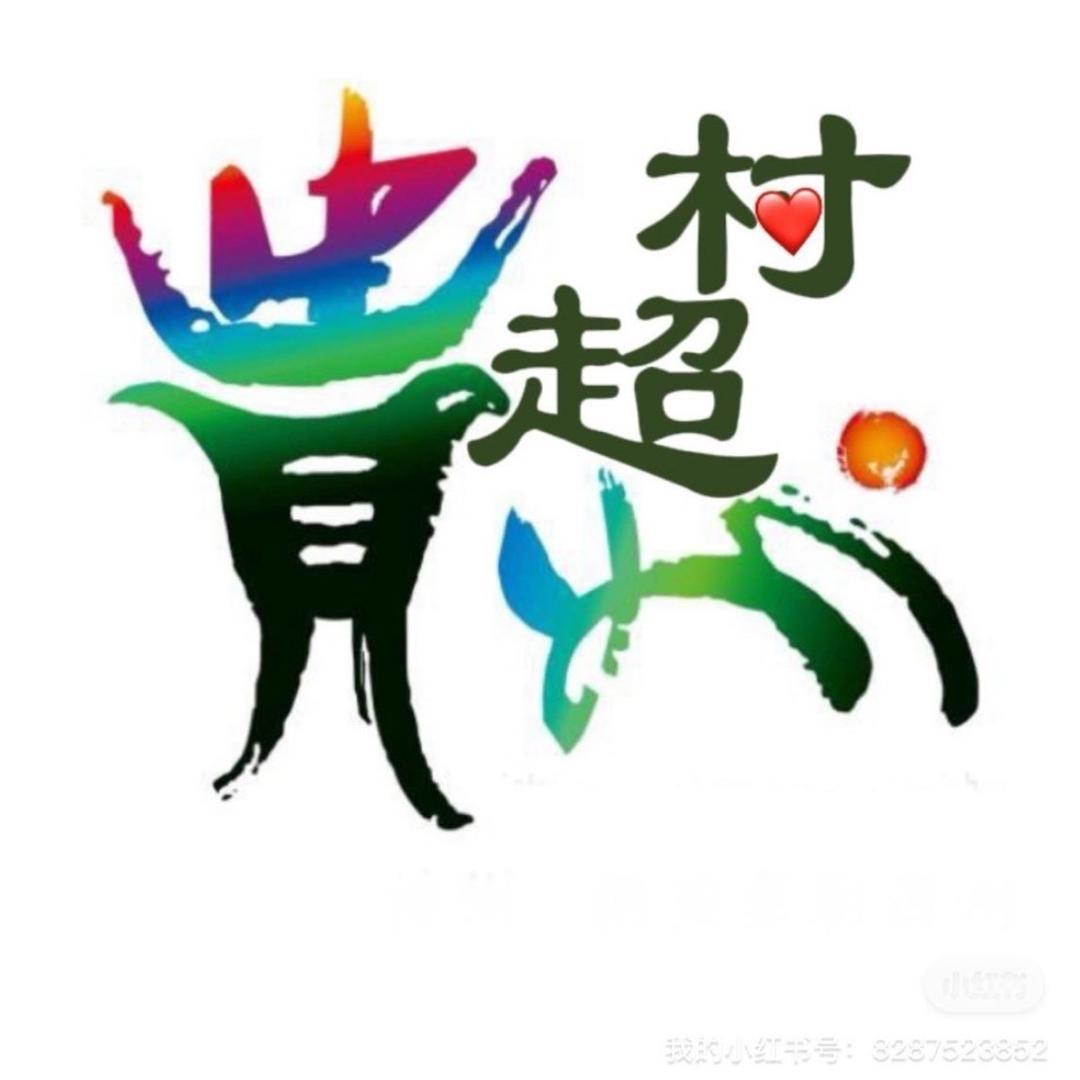 贵州村超八哥
