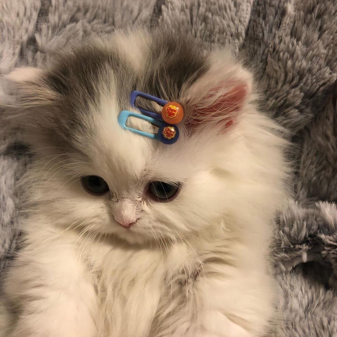 甜蜜的玥