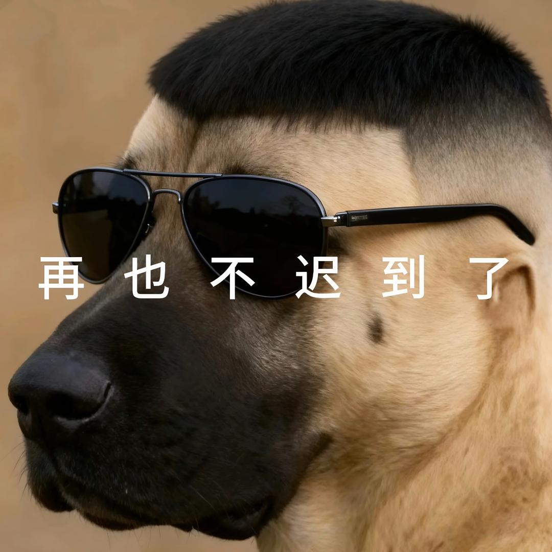 Hah00ll（大马猴剪辑师）