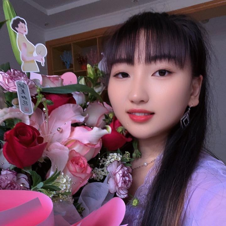 燕子（砥砺前行）