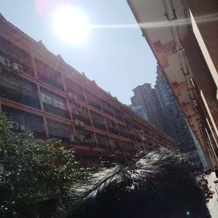 快吃兰花蟹吧～