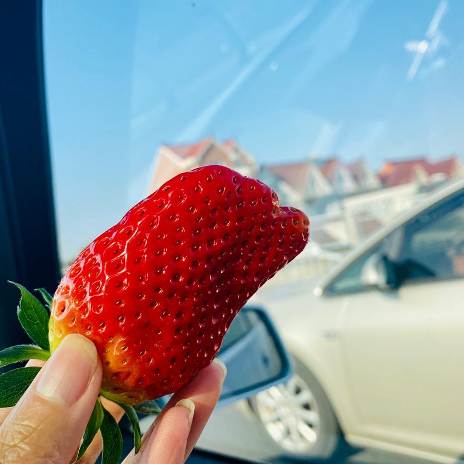 空白的空白