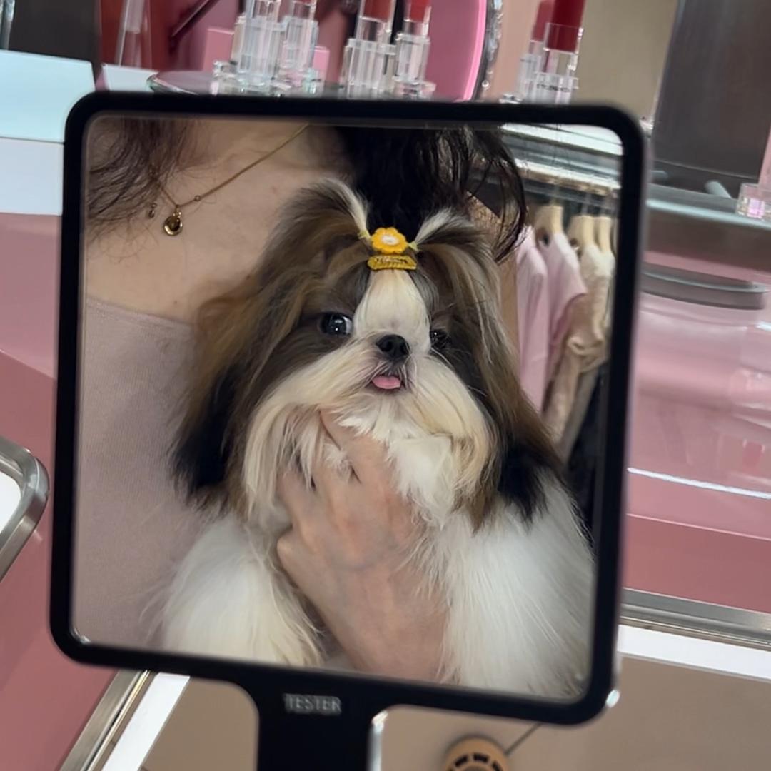 喜事多