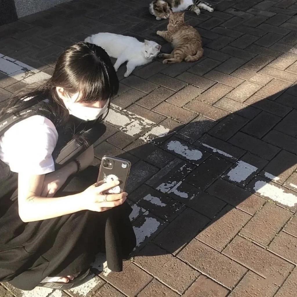 不爱叠被