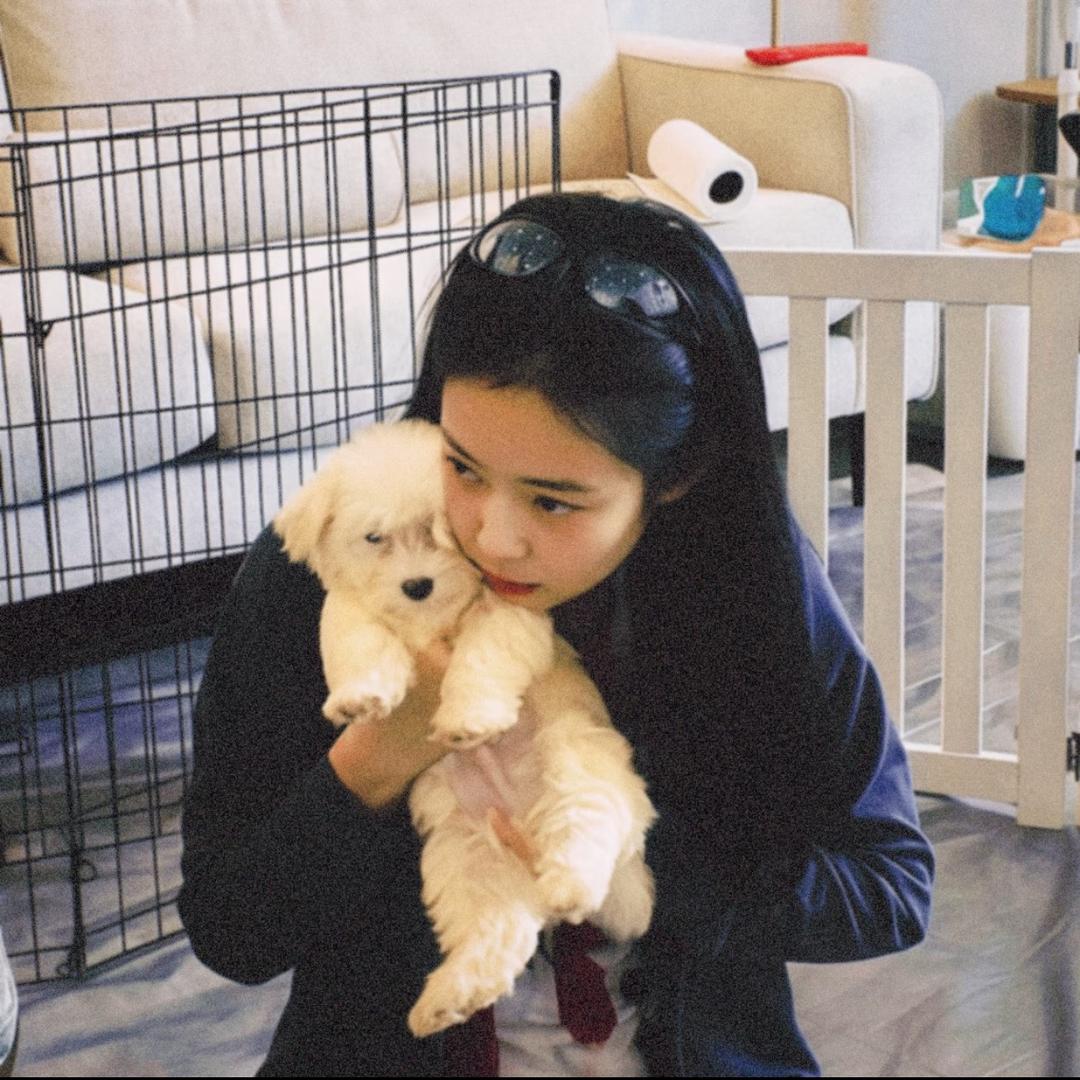 拯救一口马铃薯