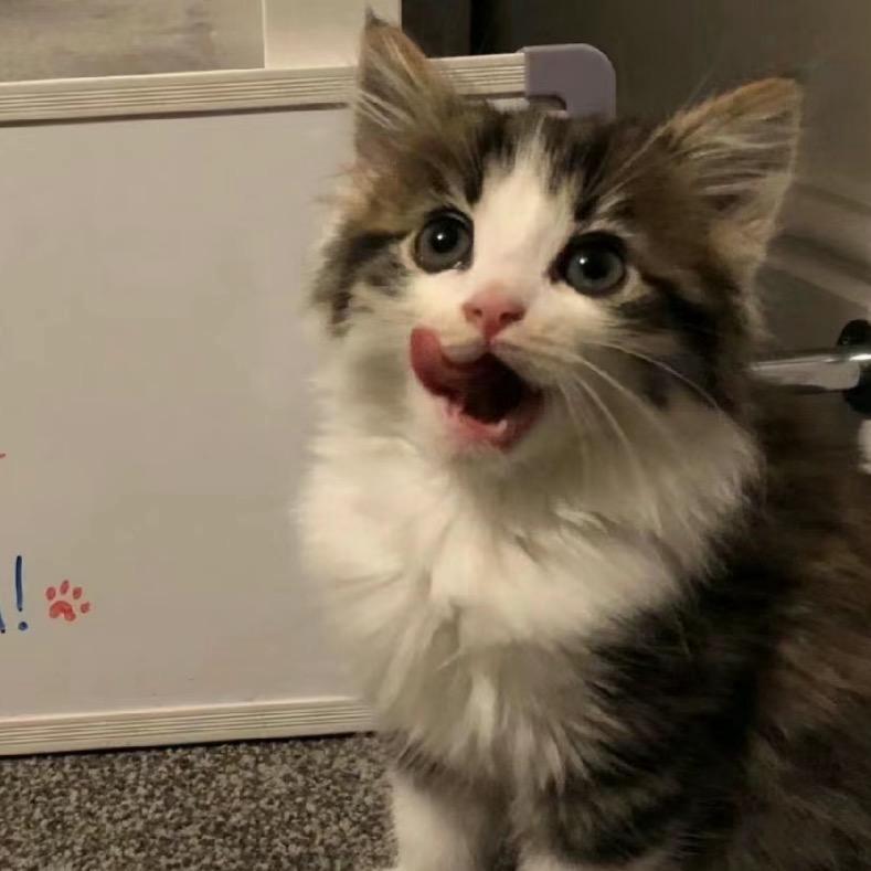 kira🥑