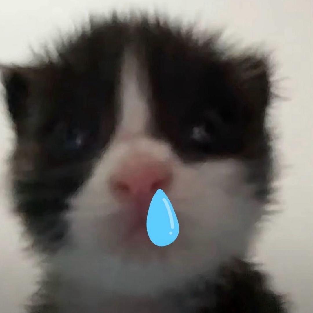 愛蒽_
