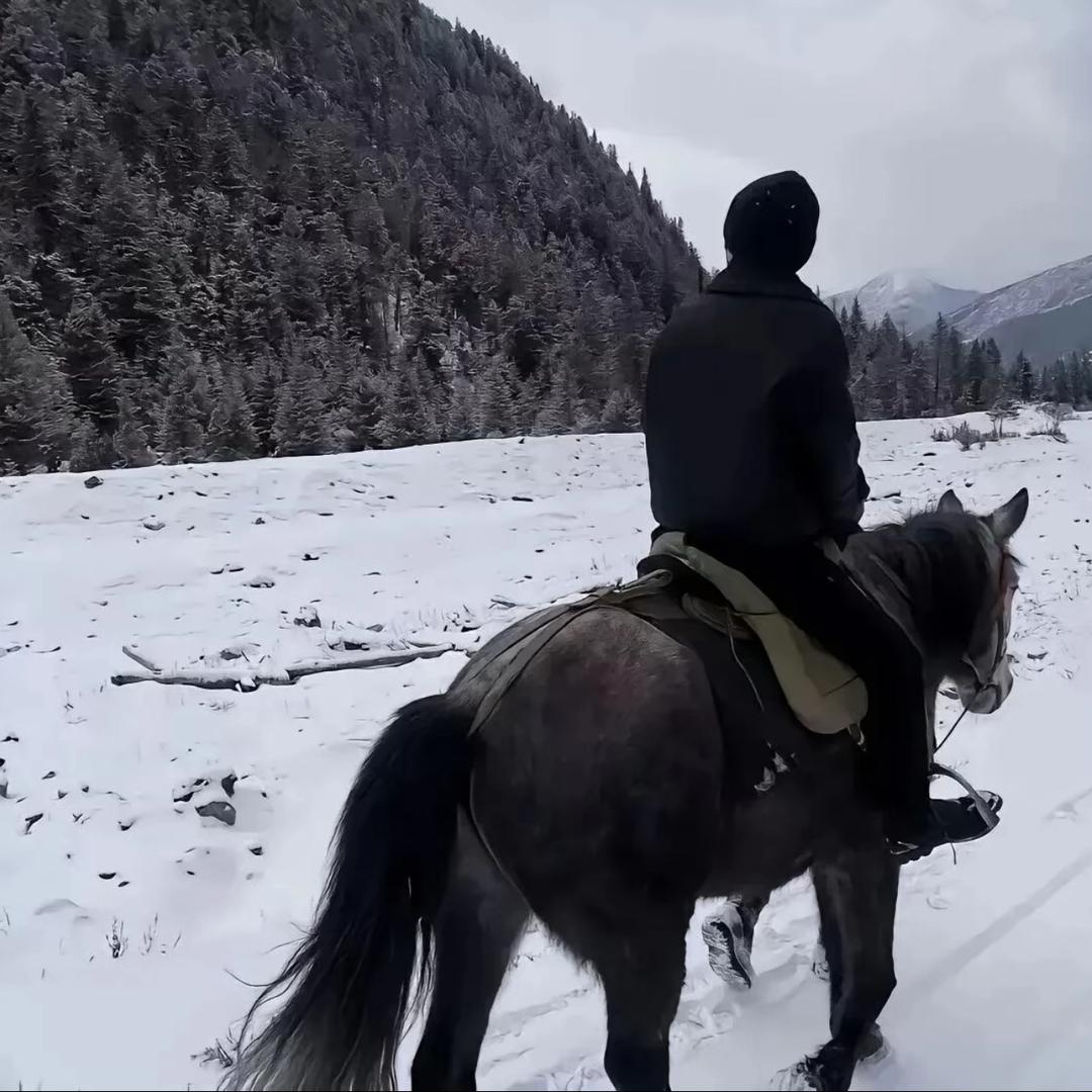 ZH
