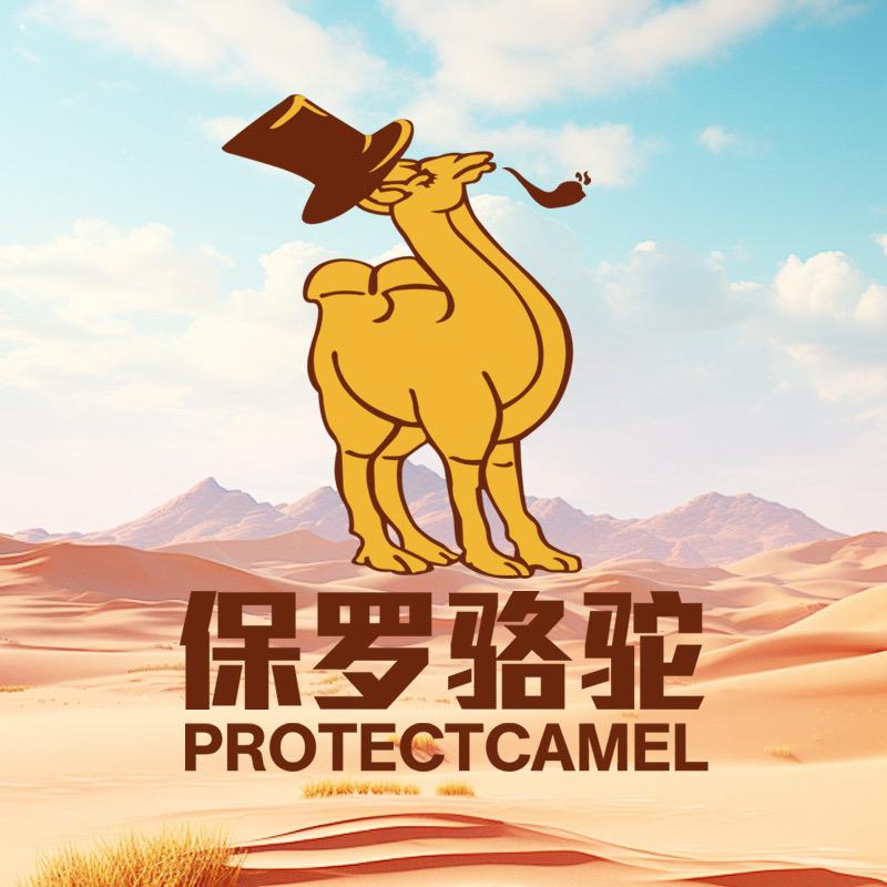 领航骆驼先迈男鞋专卖店
