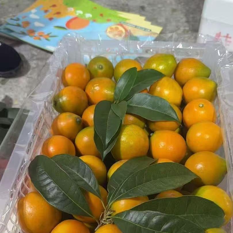 卖水果的NINI妮姐