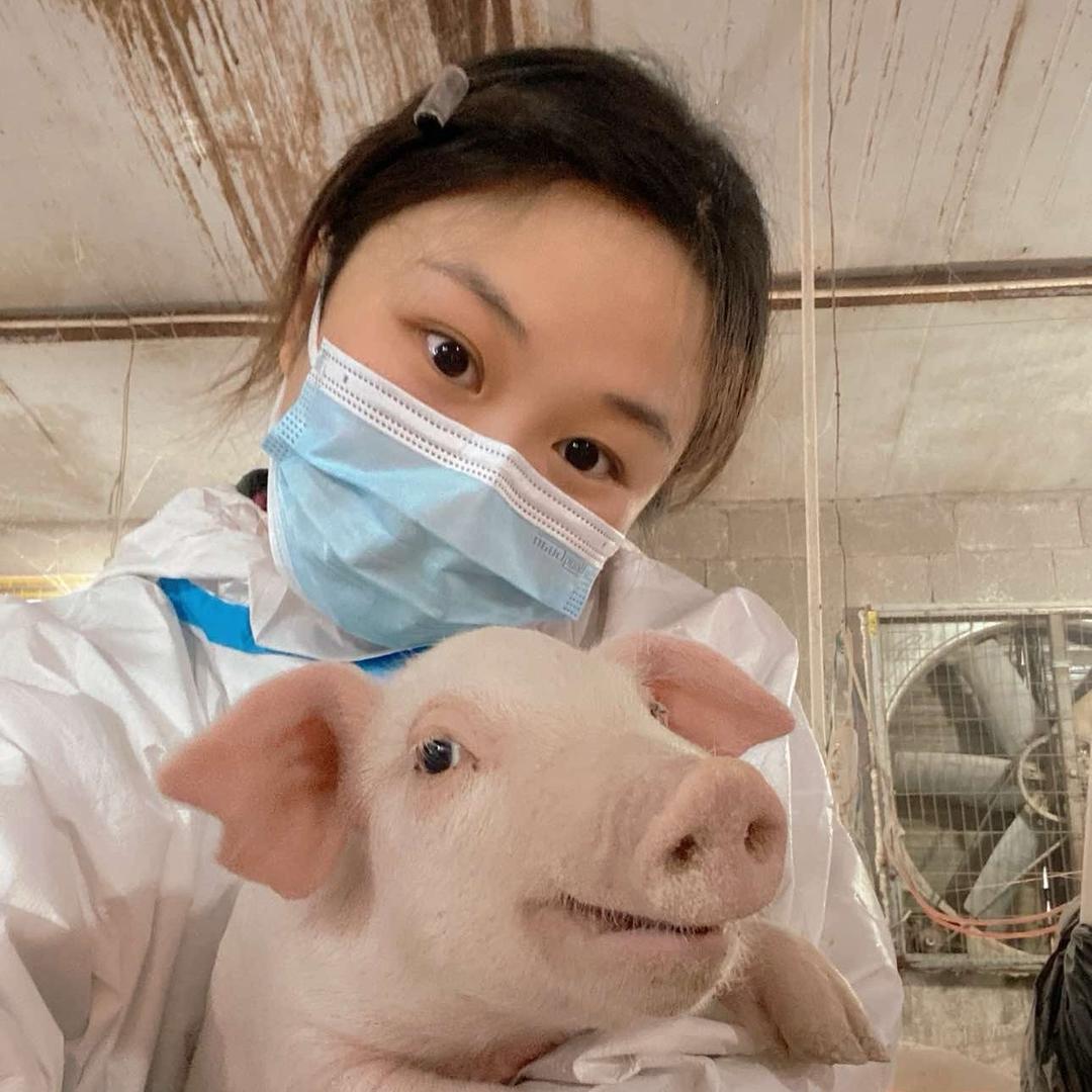 张漂亮养猪🐷