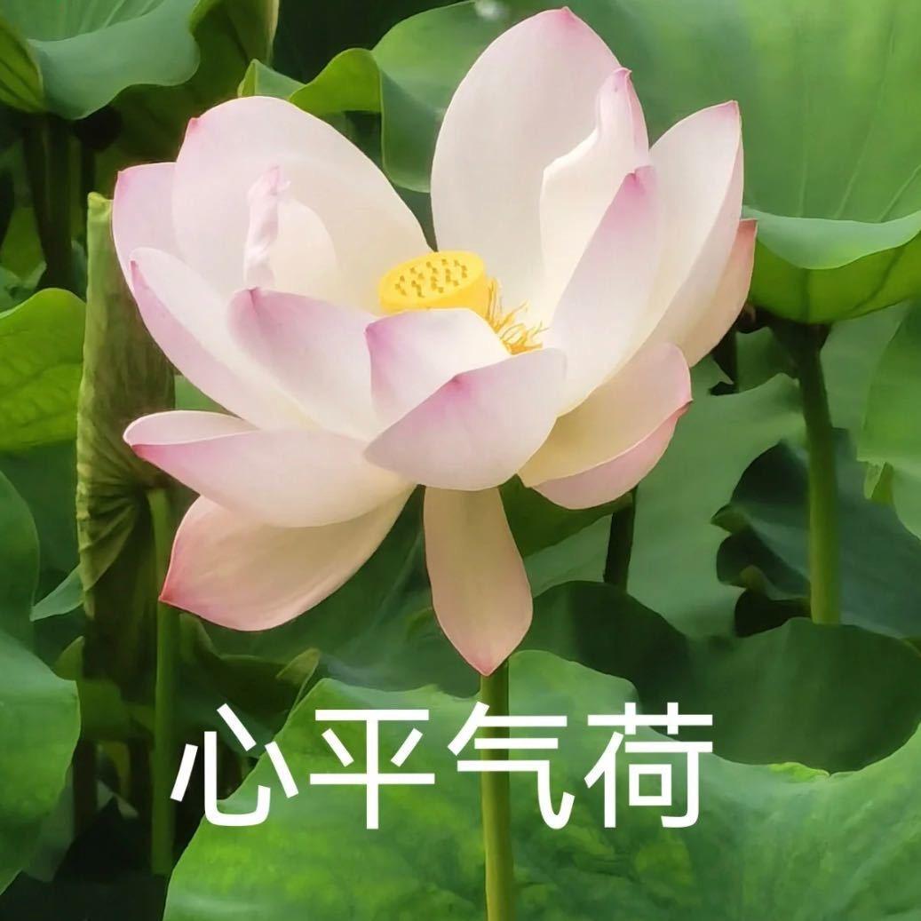 李冠一