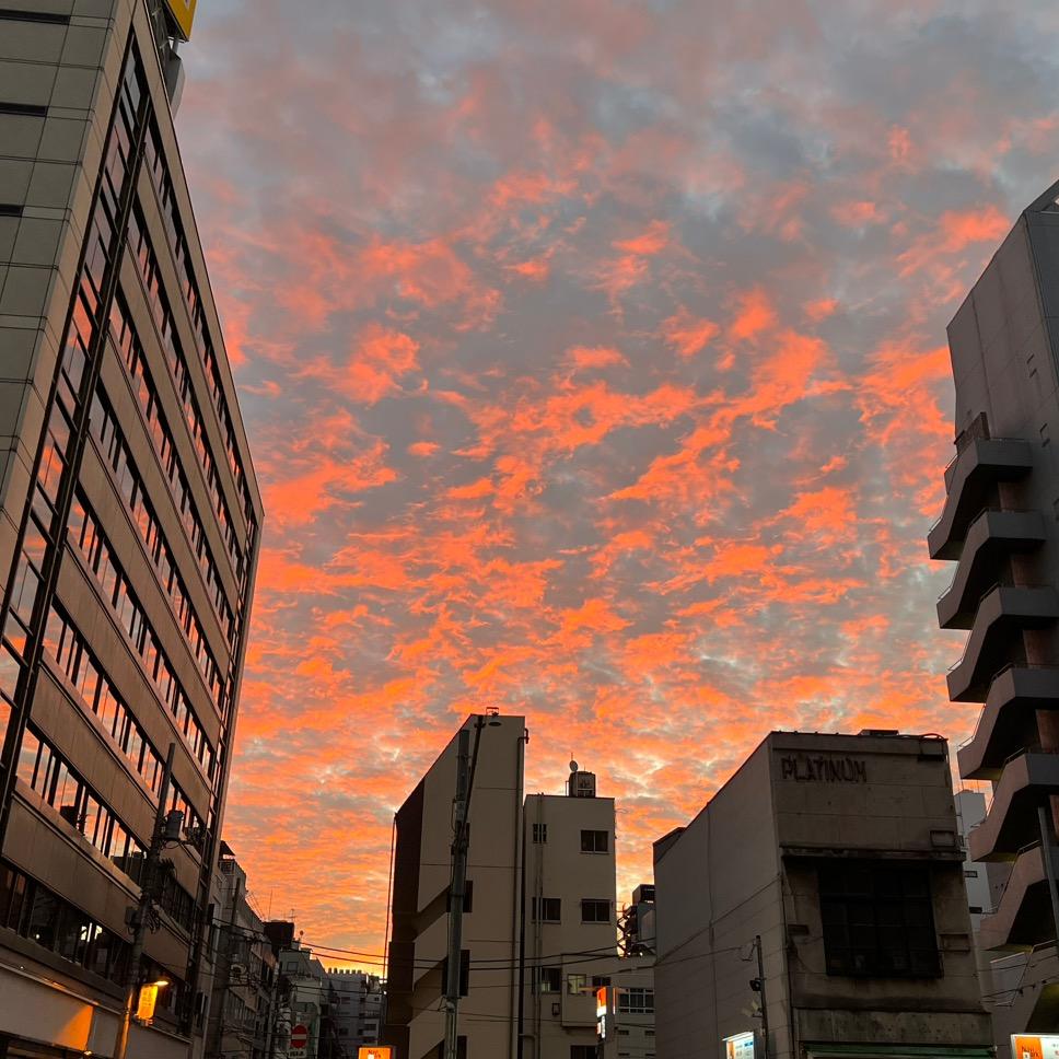 夏 十六 （Melbourne版本）