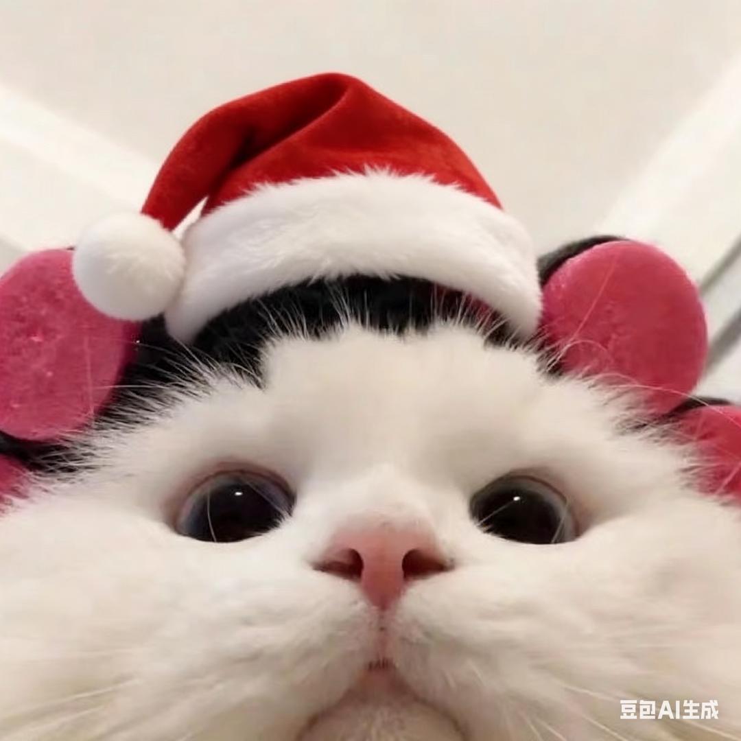 取个什么名字呢