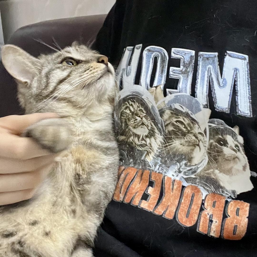 歪在吗