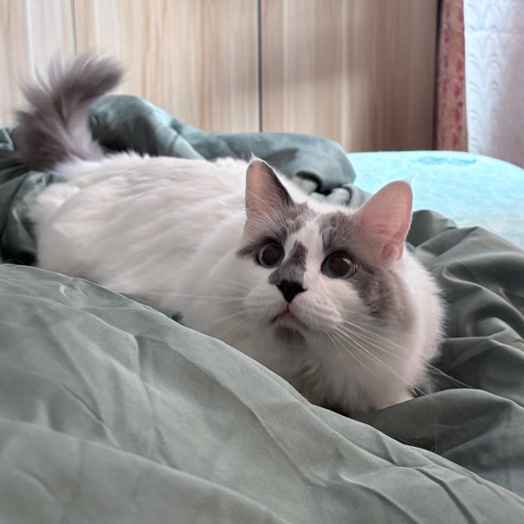 Esme