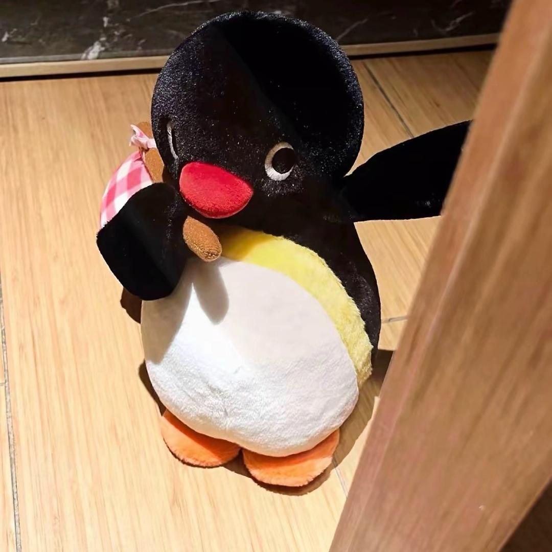 宝力pp