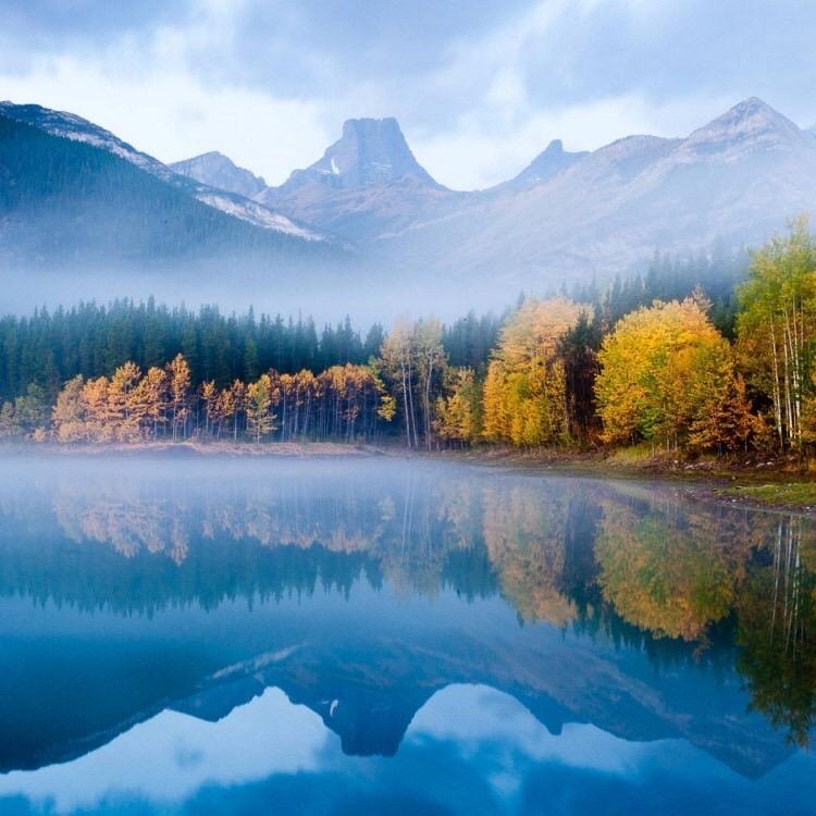 陈年旧梦