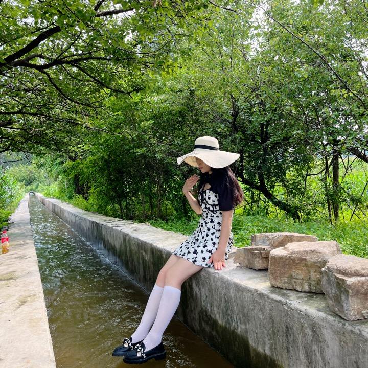十九 🌸