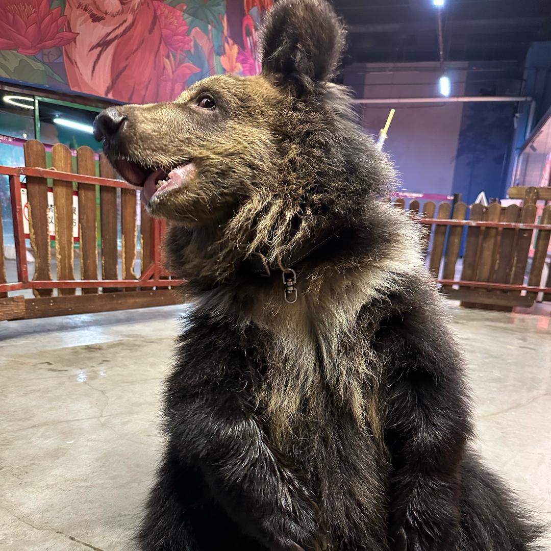 龙之梦动物乐园售票处