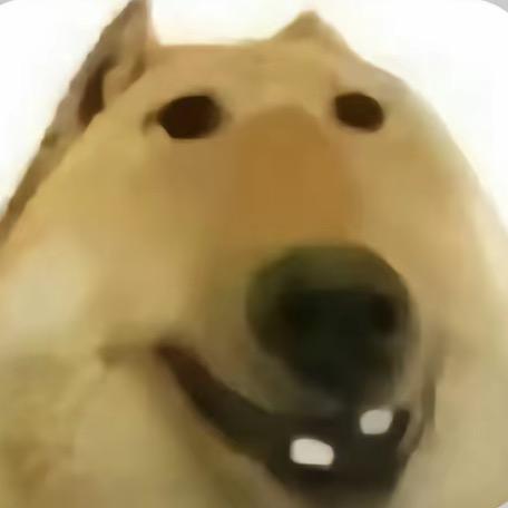 海星儿