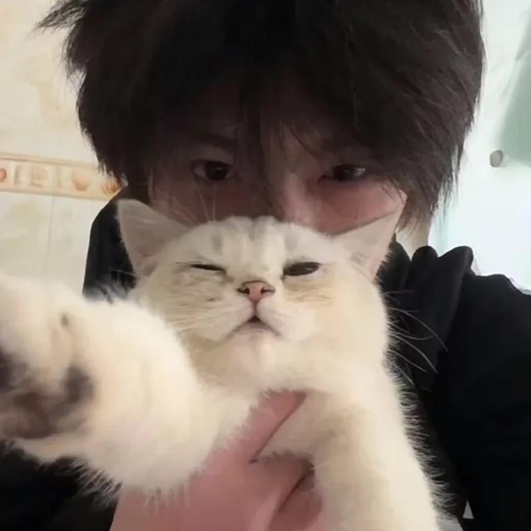 ZZz..