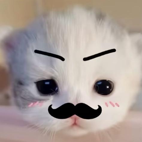 懵懵^