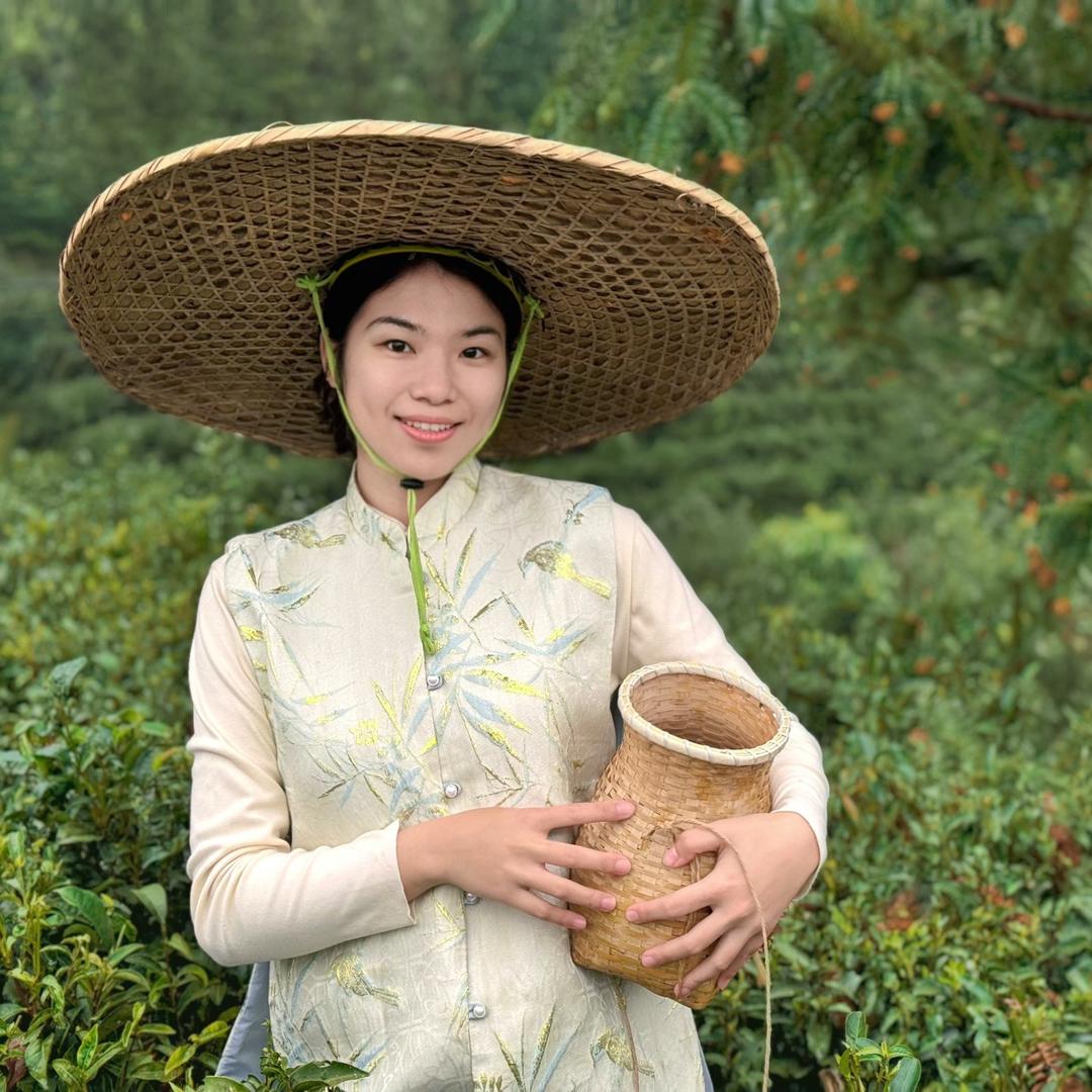 茶乡小当家