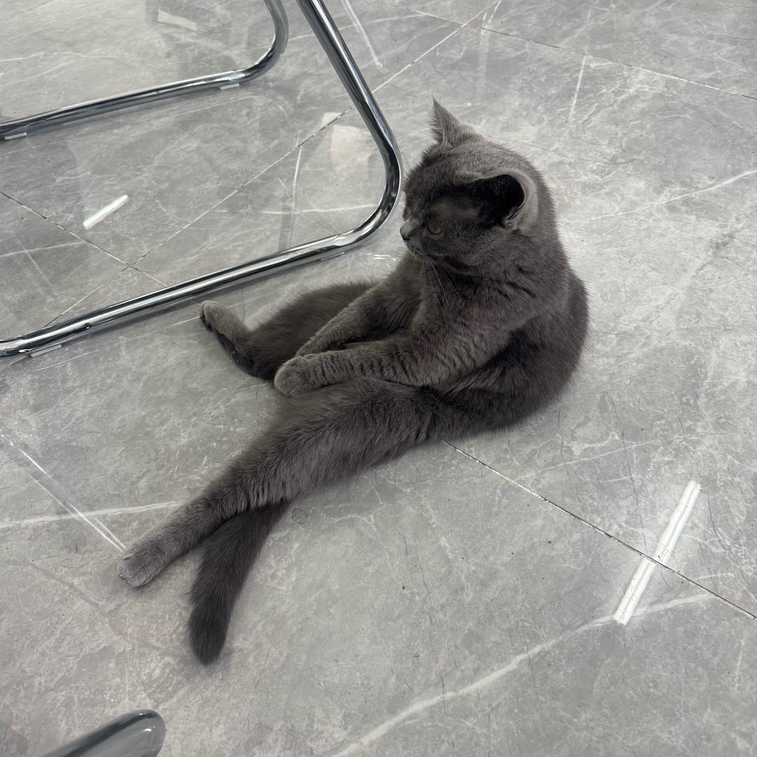 传奇忠实爱好者