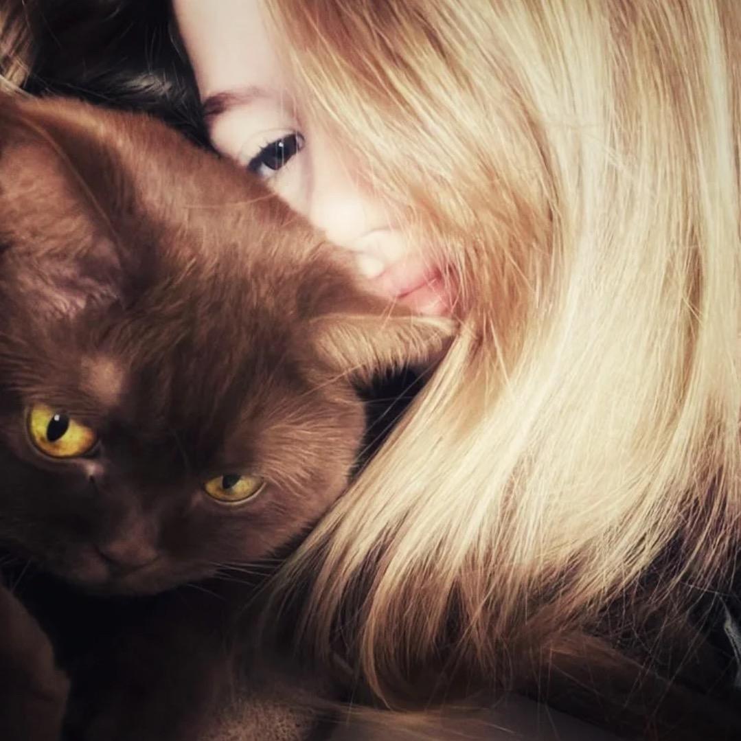 你找一下我会死吗