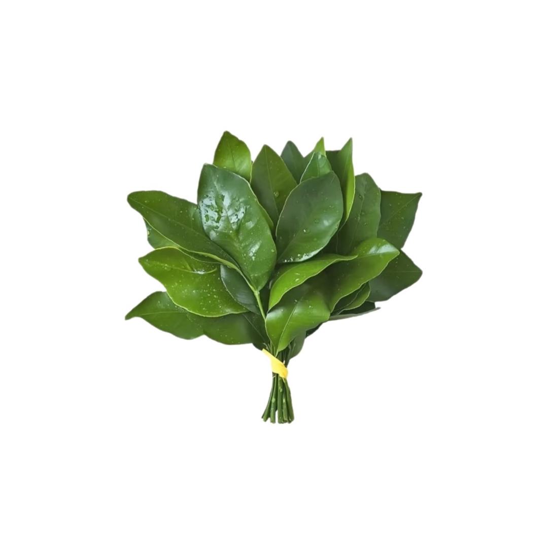 我不叫子渝