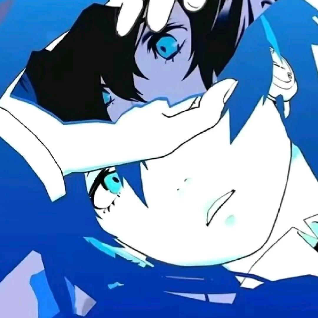 ro修