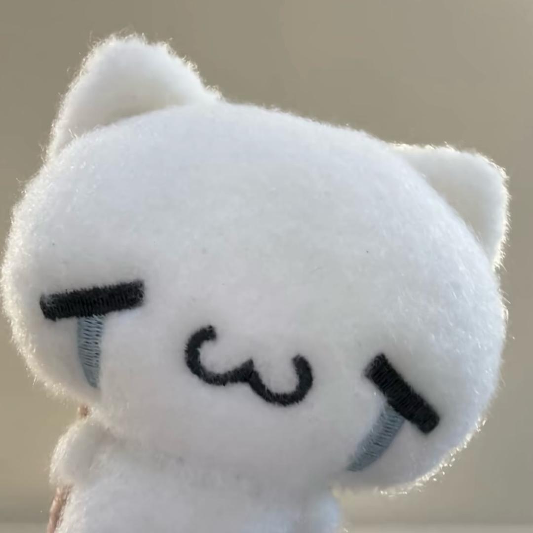 临冬时念雪