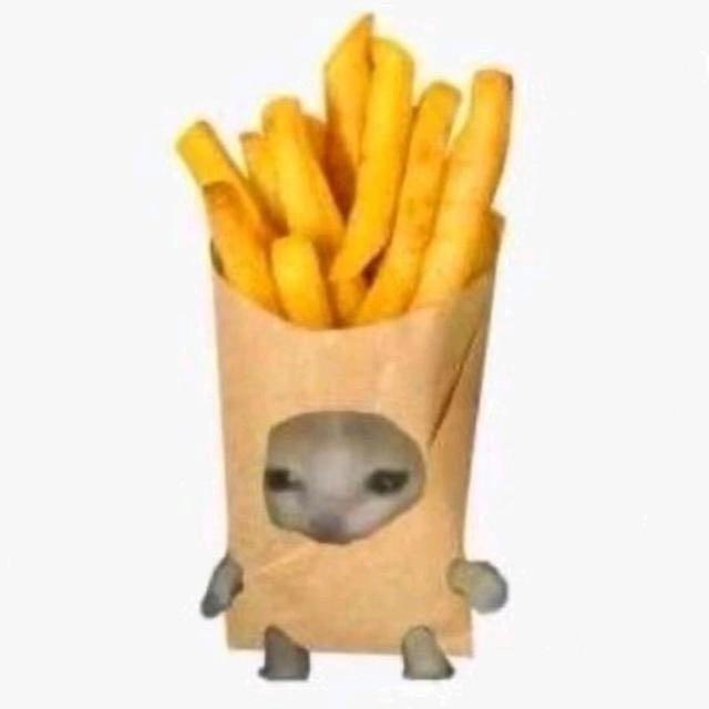 薯条人