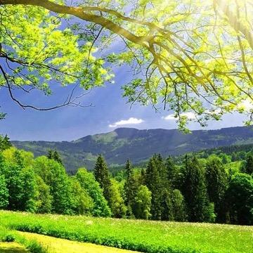 聚吉送