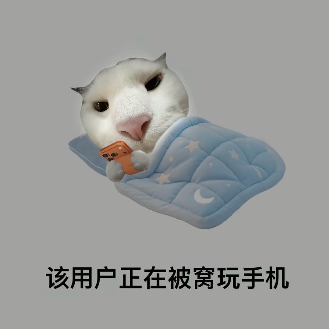 哦哦哦哦哦