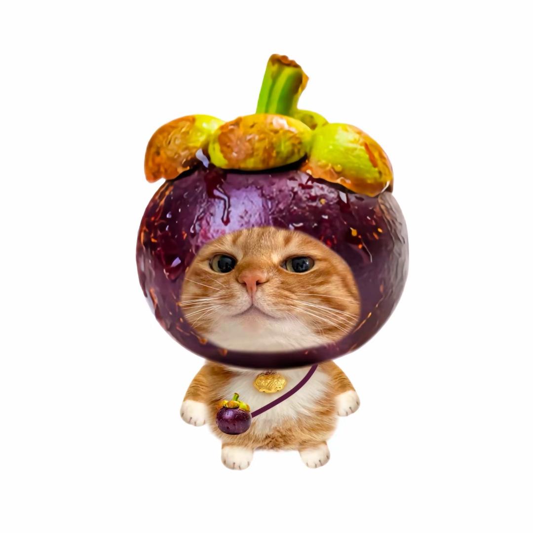 你啰嗦了🥭