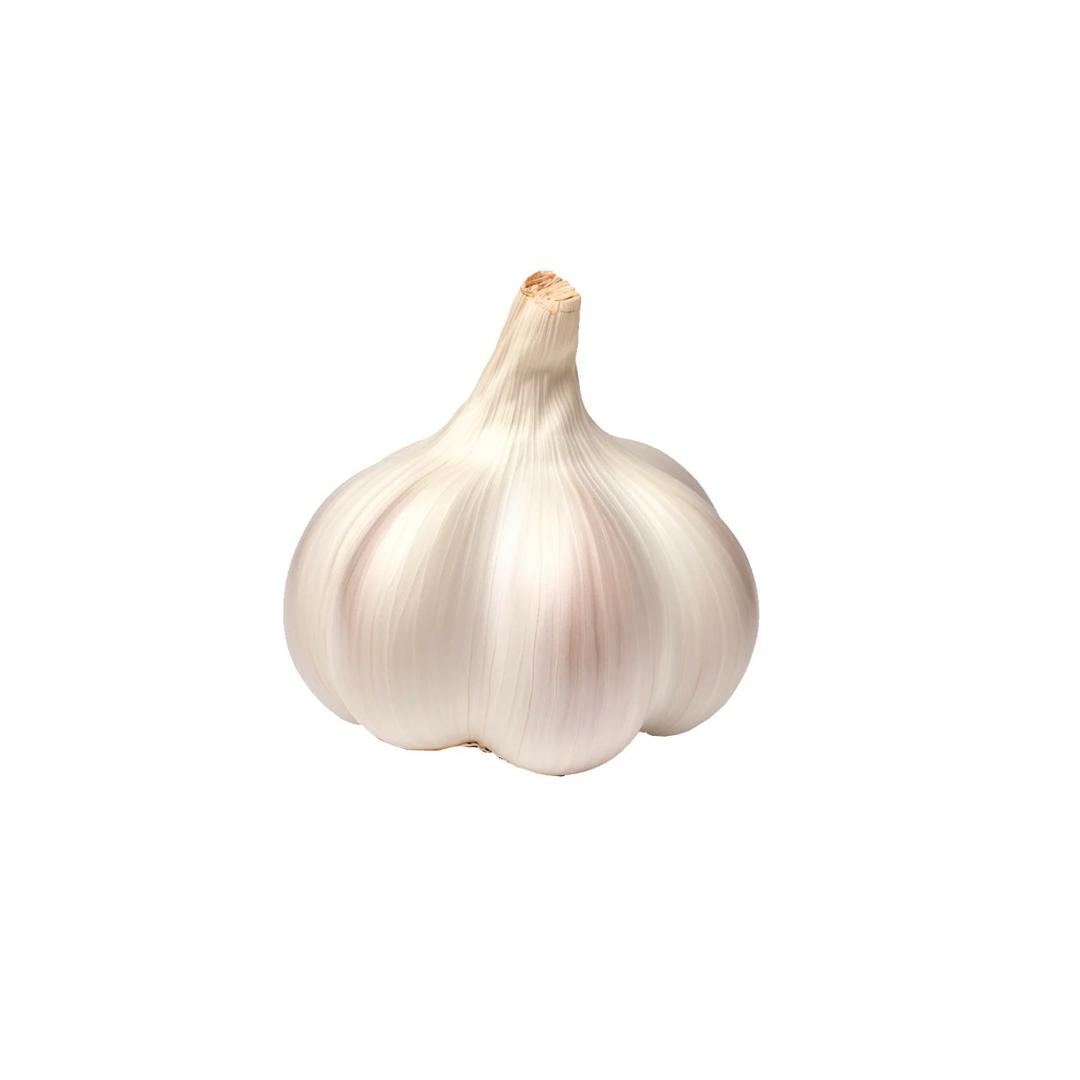 神秘的大蒜
