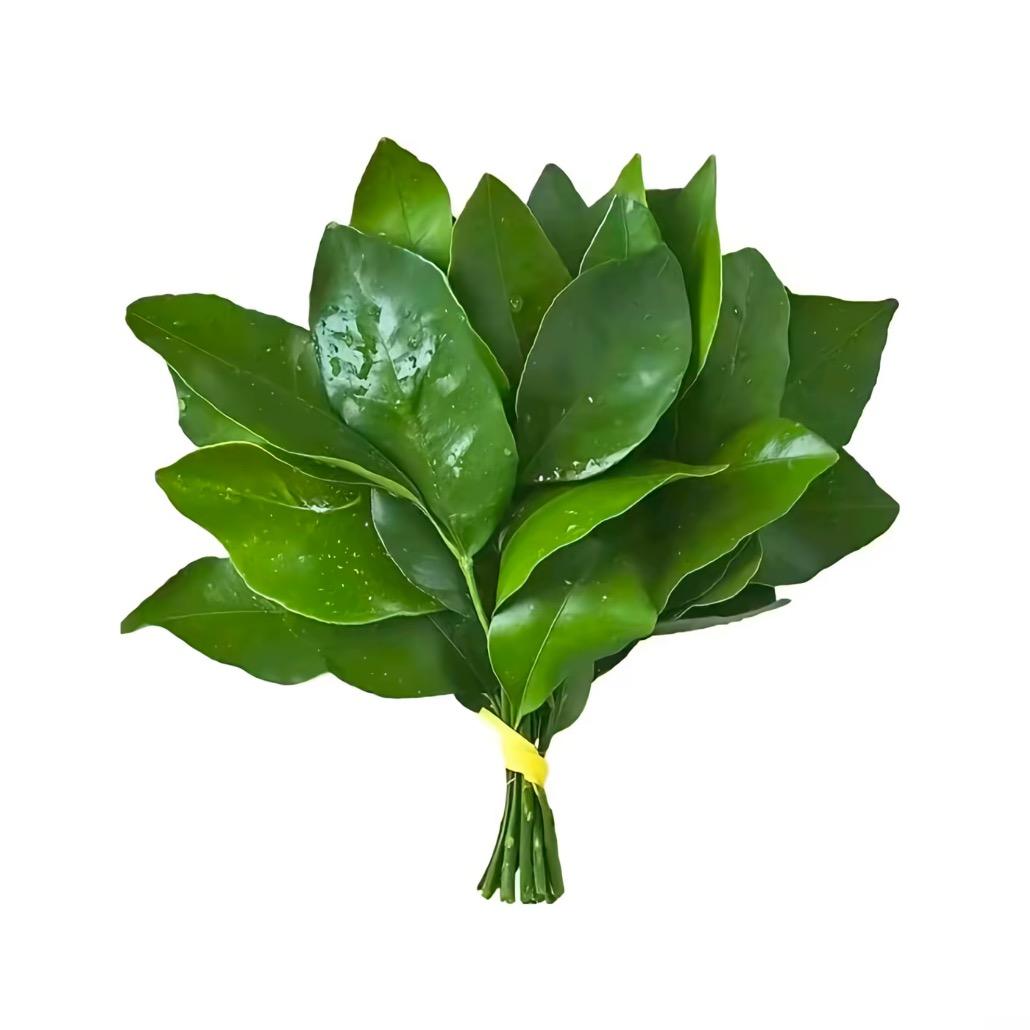 无语了我还没来财（见过张杰版）